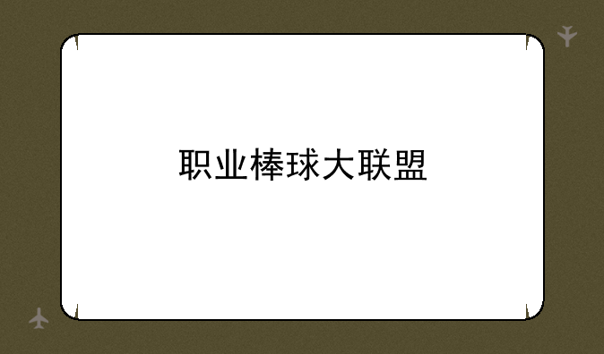 职业棒球大联盟