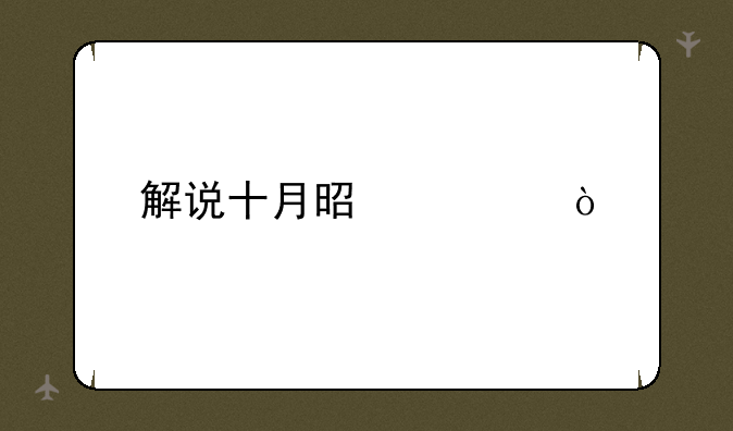 解说十月是谁？