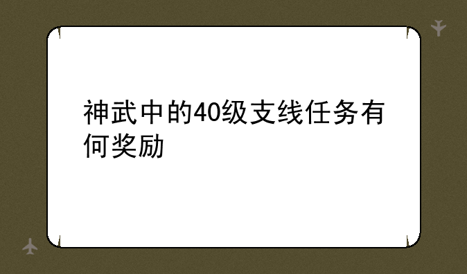 神武中的40级支线任务有何奖励