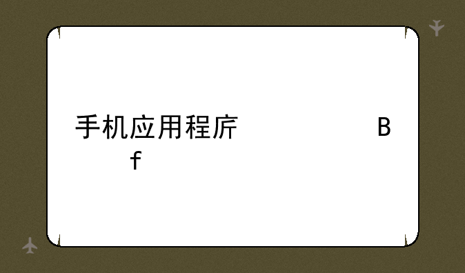 手机应用程序管理器