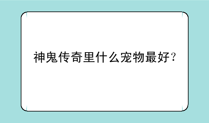 神鬼传奇里什么宠物最好？