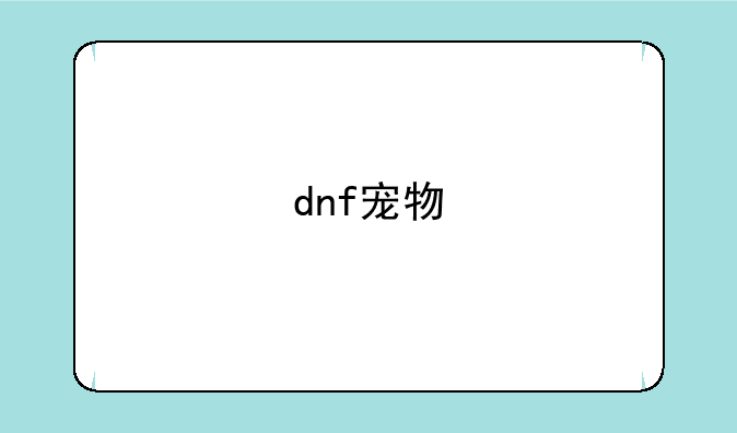 dnf宠物