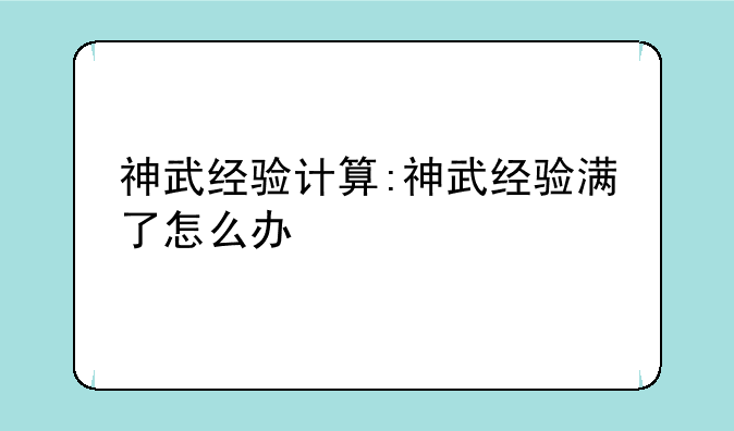 神武经验计算:神武经验满了怎么办