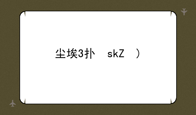 尘埃3打不开