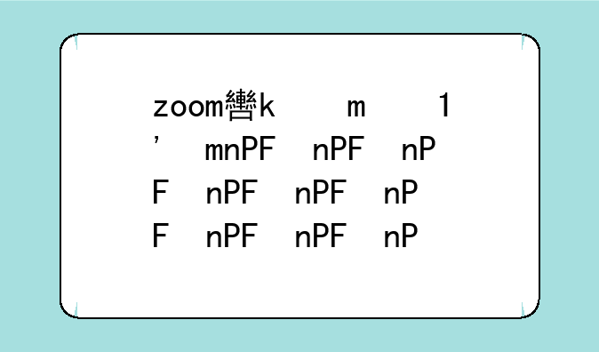 zoom软件下载
